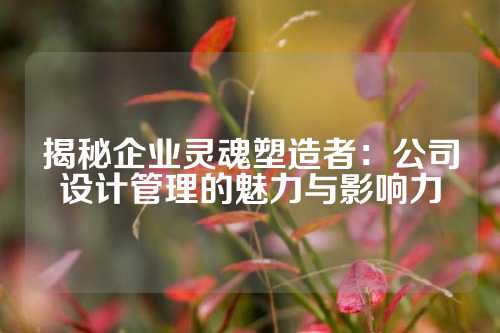 揭秘企业灵魂塑造者：公司设计管理的魅力与影响力