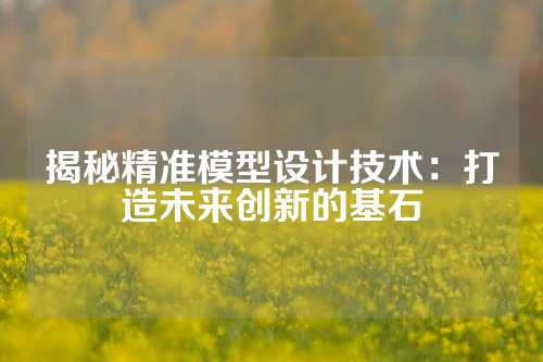 揭秘精准模型设计技术：打造未来创新的基石