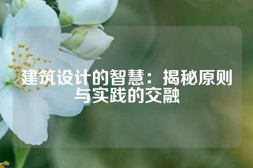 建筑设计的智慧:揭秘原则与实践的交融