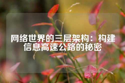 网络世界的三层架构：构建信息高速公路的秘密