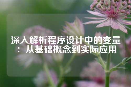 深入解析程序设计中的变量：从基础概念到实际应用