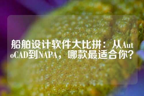 船舶设计软件大比拼：从AutoCAD到NAPA，哪款最适合你？