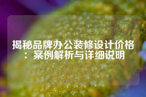 揭秘品牌办公装修设计价格：案例解析与详细说明
