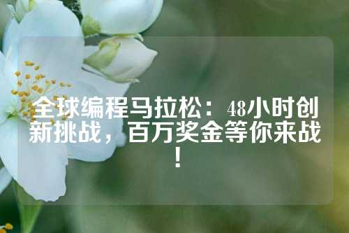 全球编程马拉松：48小时创新挑战，百万奖金等你来战！