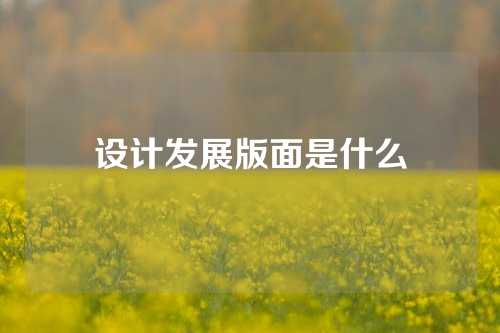 设计发展版面是什么