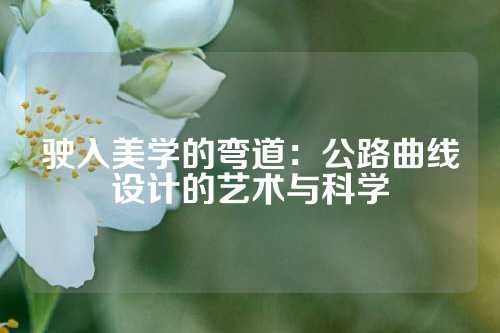 驶入美学的弯道：公路曲线设计的艺术与科学