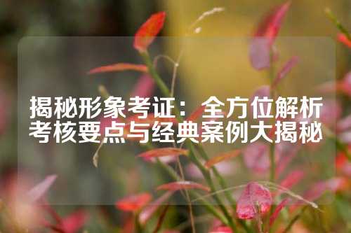 揭秘形象考证：全方位解析考核要点与经典案例大揭秘