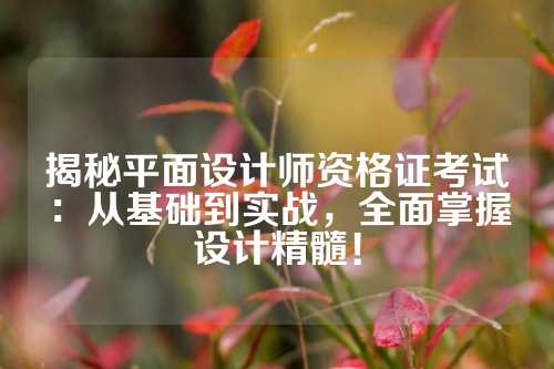 揭秘平面设计师资格证考试:从基础到实战,全面掌握设计精髓!