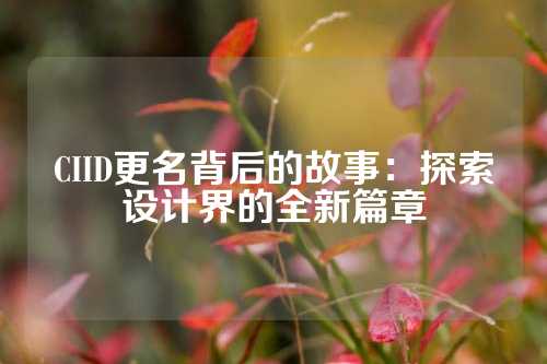 CIID更名背后的故事：探索设计界的全新篇章