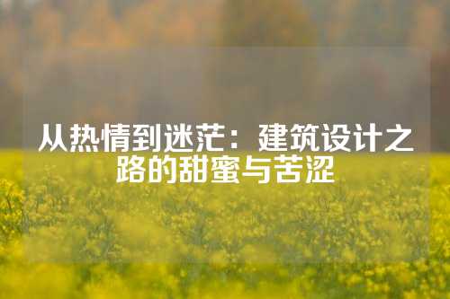 从热情到迷茫：建筑设计之路的甜蜜与苦涩