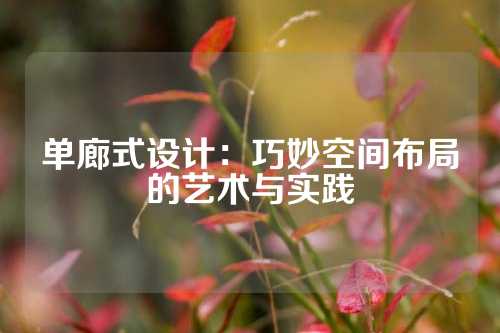 单廊式设计：巧妙空间布局的艺术与实践