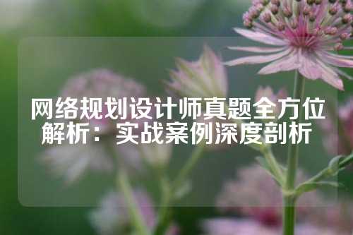 网络规划设计师真题全方位解析：实战案例深度剖析