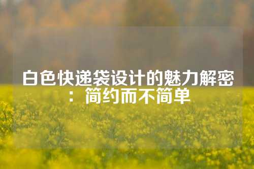 白色快递袋设计的魅力解密：简约而不简单