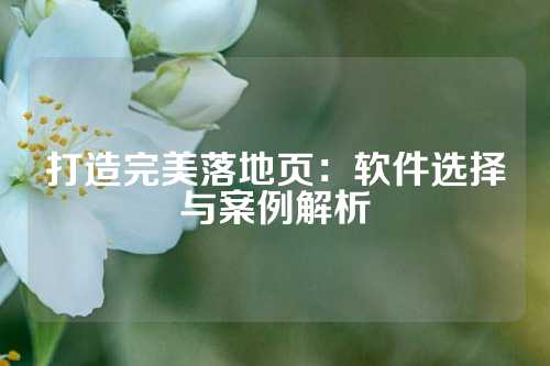 打造完美落地页：软件选择与案例解析