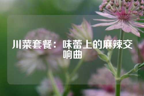 川菜套餐:味蕾上的麻辣交响曲