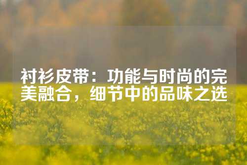 衬衫皮带：功能与时尚的完美融合，细节中的品味之选