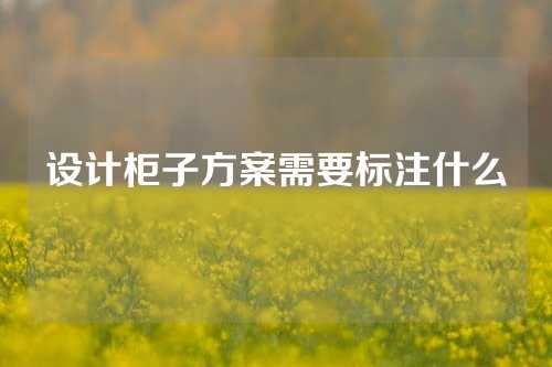 设计柜子方案需要标注什么