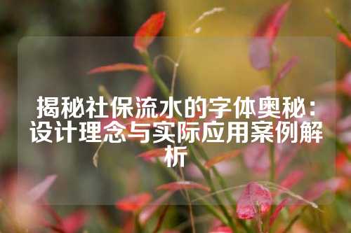 揭秘社保流水的字体奥秘：设计理念与实际应用案例解析