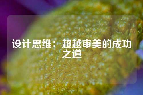 设计思维：超越审美的成功之道