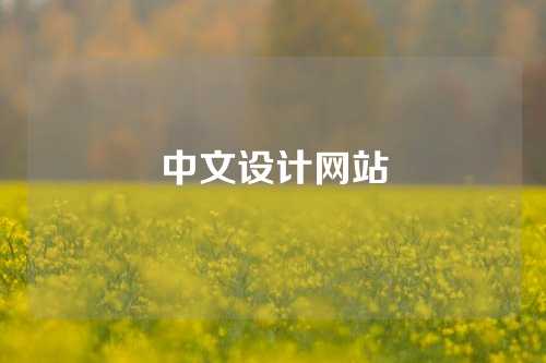 中文设计网站