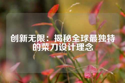 创新无限：揭秘全球最独特的菜刀设计理念