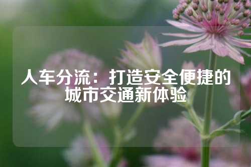 人车分流：打造安全便捷的城市交通新体验