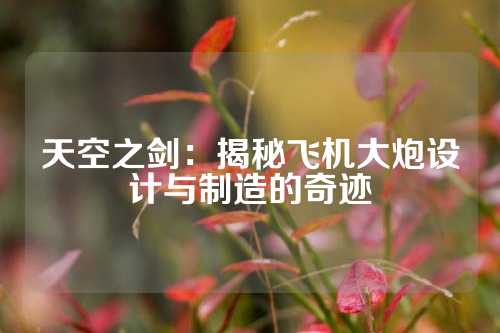 天空之剑：揭秘飞机大炮设计与制造的奇迹