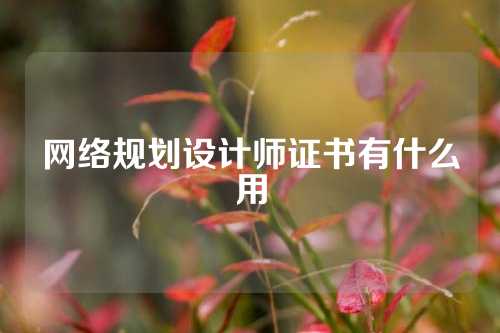 网络规划设计师证书有什么用