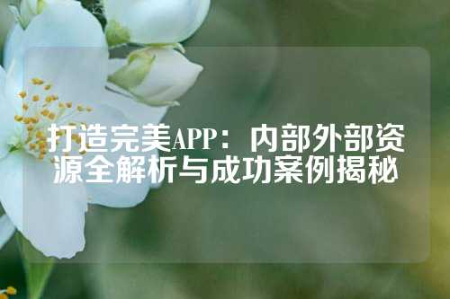 打造完美APP:内部外部资源全解析与成功案例揭秘