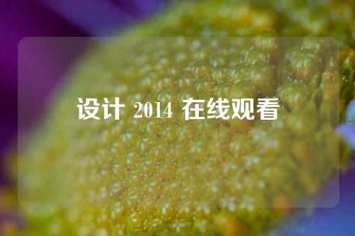 设计 2014 在线观看