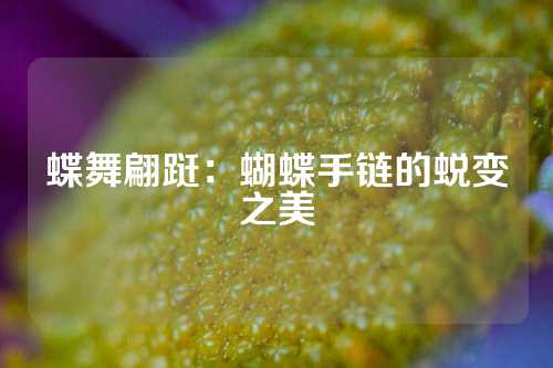 蝶舞翩跹：蝴蝶手链的蜕变之美