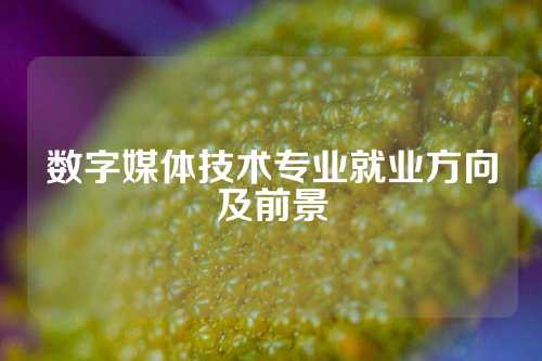 数字媒体技术专业就业方向及前景