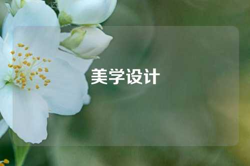 美学设计