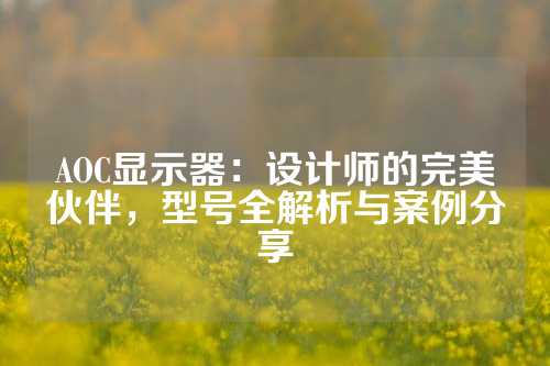 AOC显示器：设计师的完美伙伴，型号全解析与案例分享