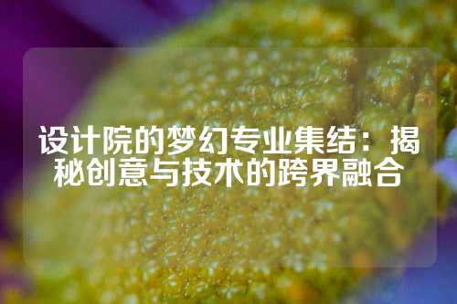 设计院的梦幻专业集结：揭秘创意与技术的跨界融合