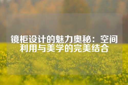 镜柜设计的魅力奥秘：空间利用与美学的完美结合
