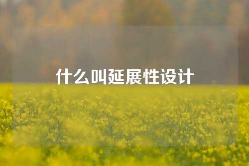 什么叫延展性设计