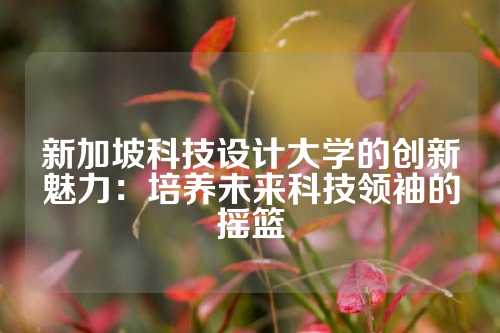 新加坡科技设计大学的创新魅力：培养未来科技领袖的摇篮