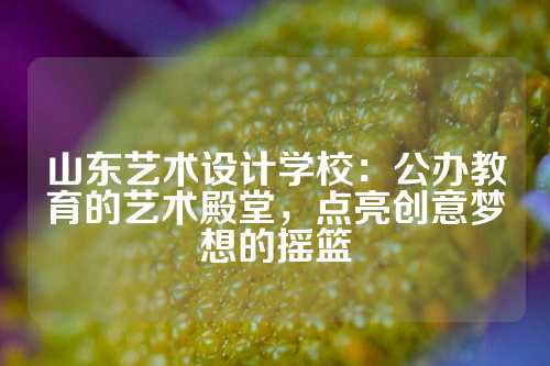 山东艺术设计学校：公办教育的艺术殿堂，点亮创意梦想的摇篮