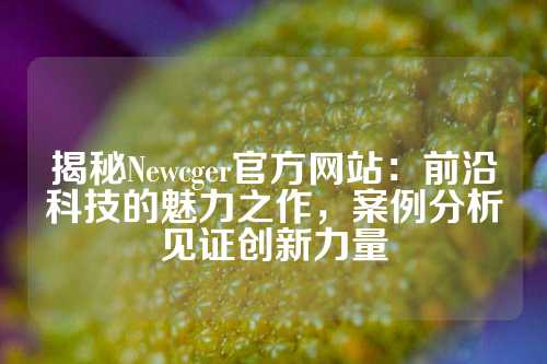 揭秘Newcger官方网站：前沿科技的魅力之作，案例分析见证创新力量