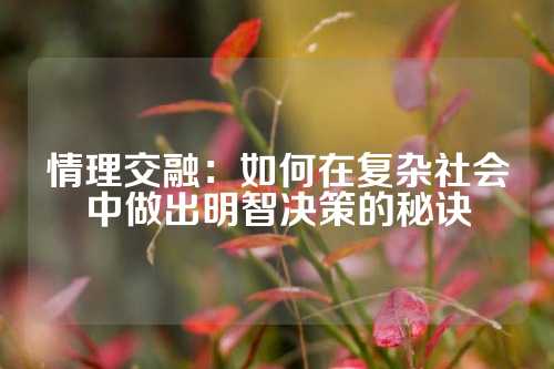 情理交融：如何在复杂社会中做出明智决策的秘诀