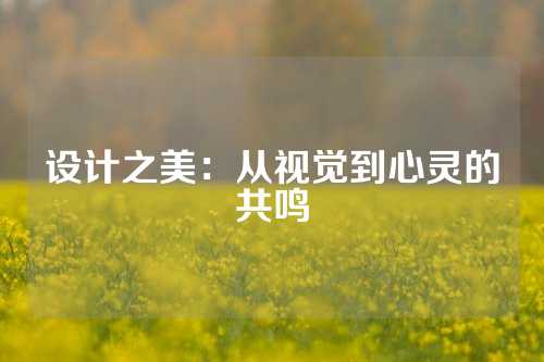 设计之美：从视觉到心灵的共鸣