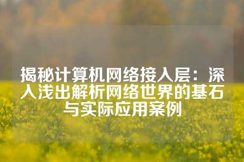 揭秘计算机网络接入层：深入浅出解析网络世界的基石与实际应用案例