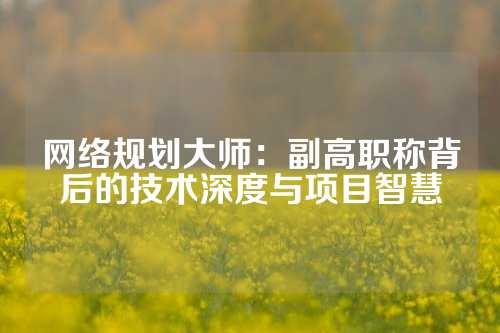 网络规划大师:副高职称背后的技术深度与项目智慧