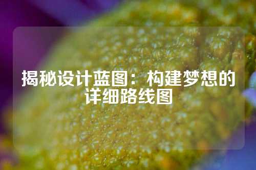 揭秘设计蓝图:构建梦想的详细路线图