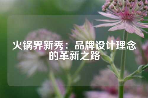 火锅界新秀：品牌设计理念的革新之路