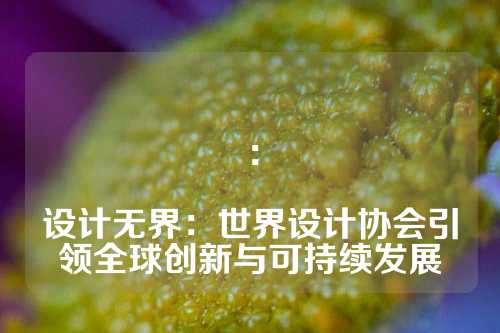 ：

设计无界：世界设计协会引领全球创新与可持续发展