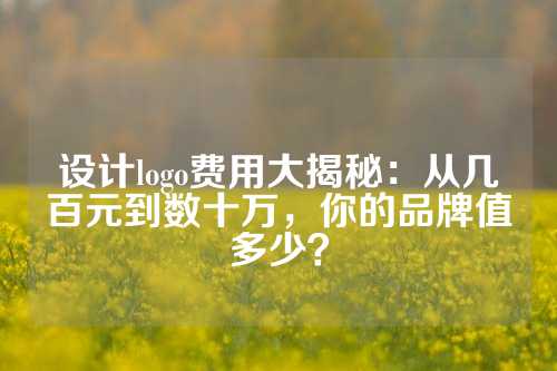 设计logo费用大揭秘：从几百元到数十万，你的品牌值多少？