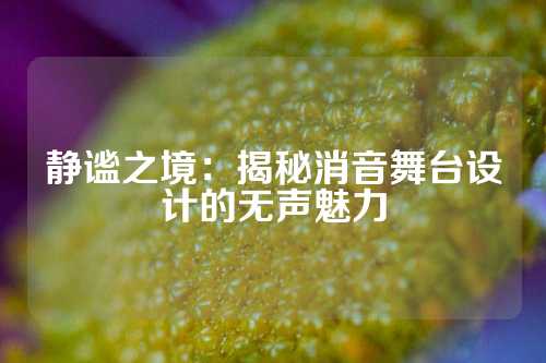 静谧之境：揭秘消音舞台设计的无声魅力
