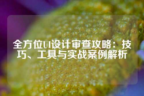 全方位UI设计审查攻略：技巧、工具与实战案例解析